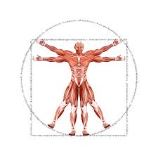 Dr-Muscle-icon | AllAiWebsite