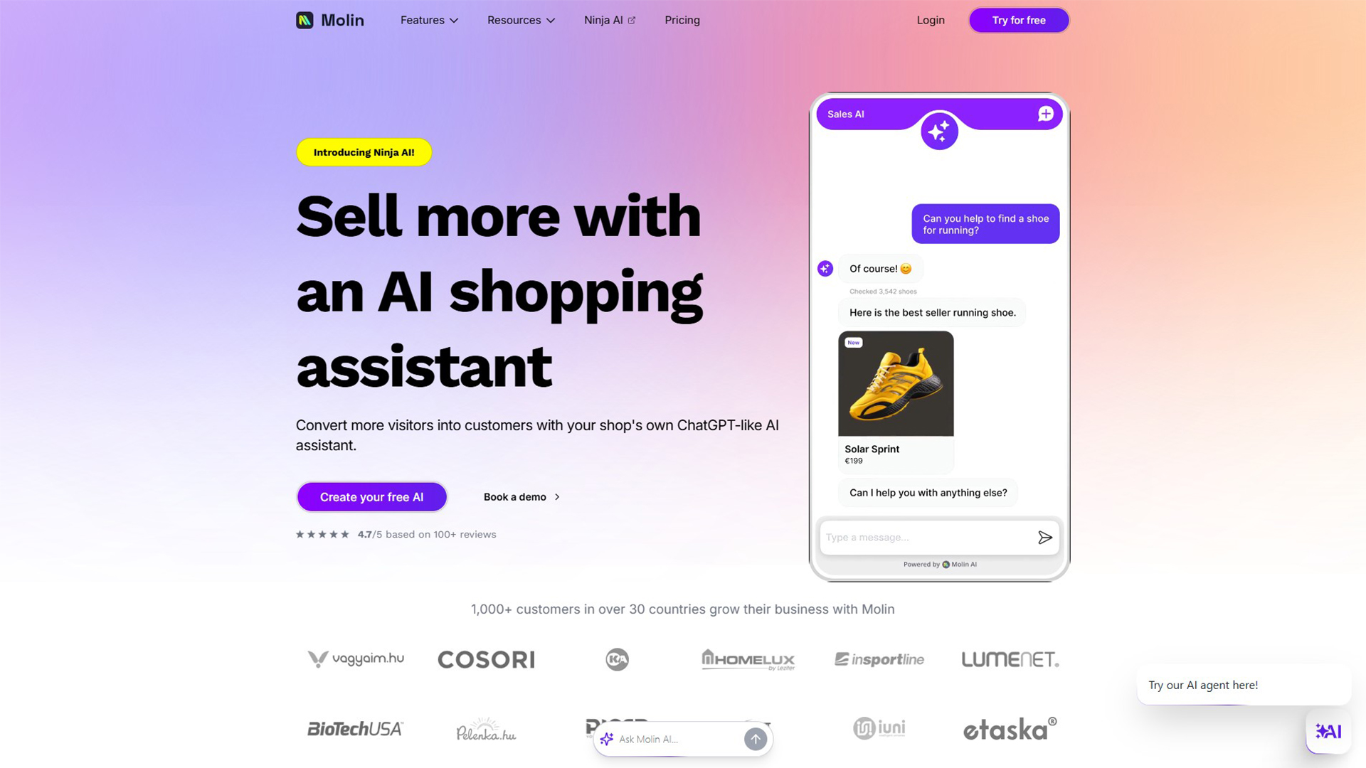 AI Chatbot for E-commerce | Molin AI | AllAiWebsite