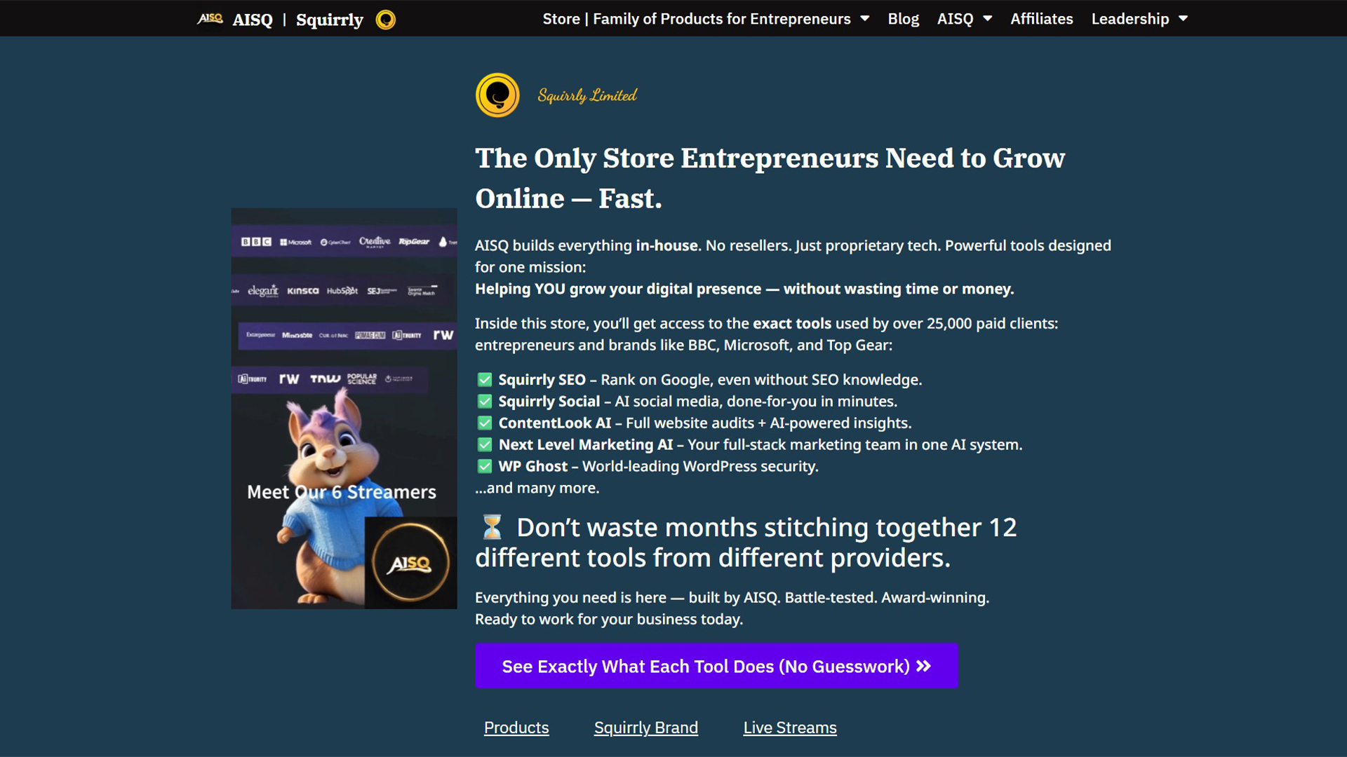 SEO software | Squirrly | AllAIWebsite