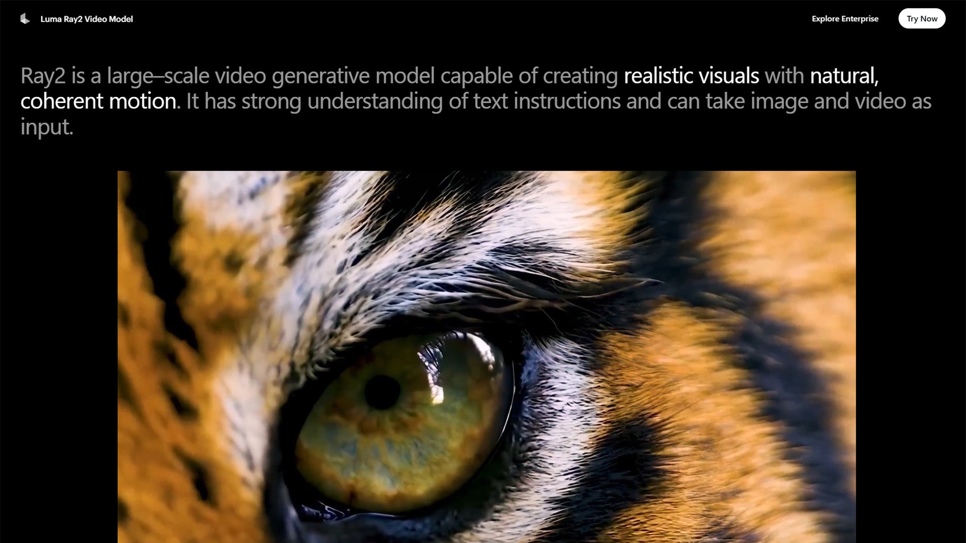 Luma Ray2 | AI Video Generator | AllAIWebsite